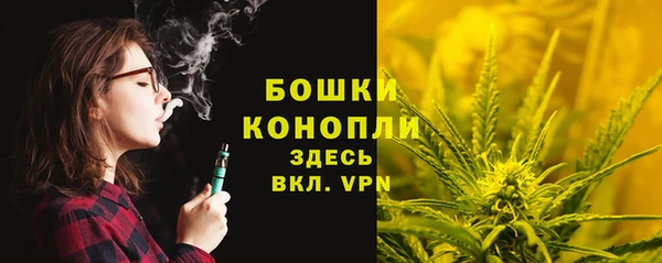 мяу мяу кристалл Костерёво