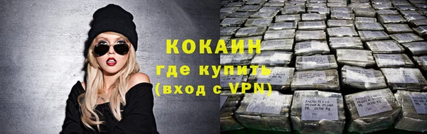 шишки Сясьстрой