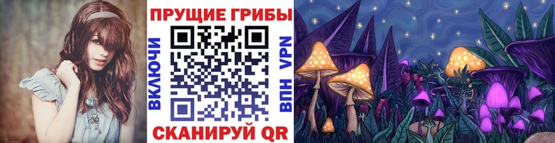наркошоп  Сураж  KRAKEN tor  Галлюциногенные грибы MAGIC MUSHROOMS 